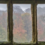 Helmsley Castle Window