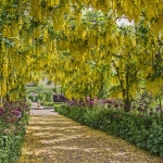 Helmsley Walled Garden